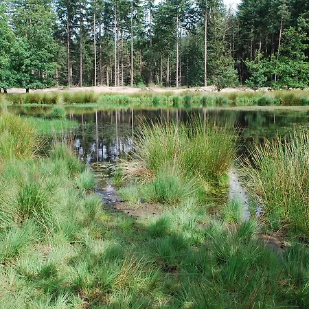 Luxe Tiny House * Stroe (Gelderland)