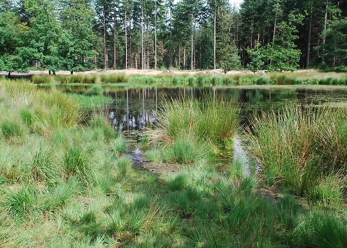 Luxe Tiny House * Stroe (Gelderland)